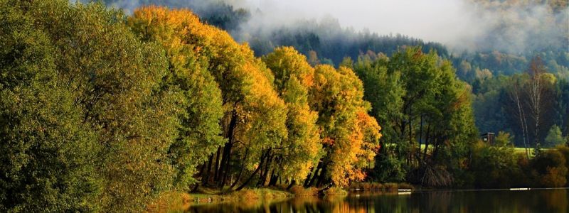 Webinaire biodiversité