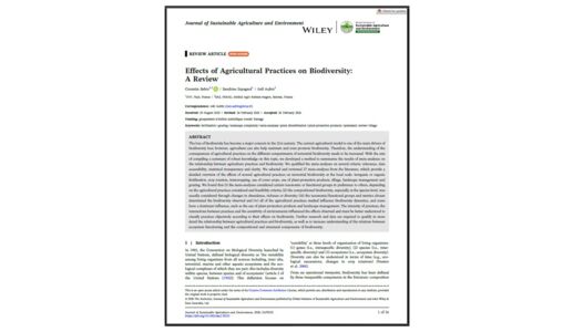 Article biodiversité vignette