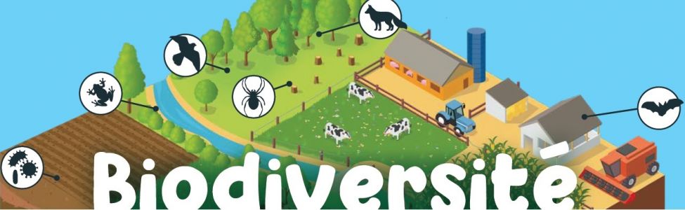 Webinaire Biodiversité