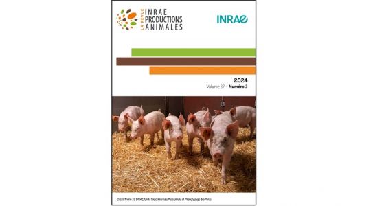 INRAE PA 37-3 vignette