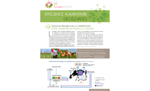 Rapport efficience alimentaire des élevages