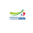 Logo IDELE