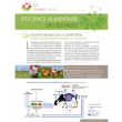Rapport efficience alimentaire des élevages