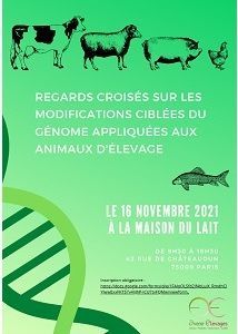 Séminaire GIS AE 16-11-2021