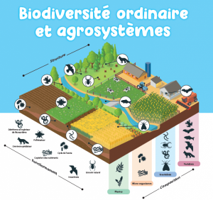 Aperçu plaquette biodiv