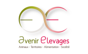 Logo GIS AE Logo GIS AE