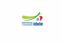 Logo IDELE