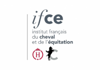 Logo IFCE